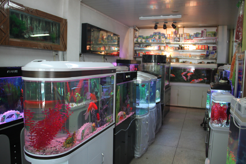 潜水泵型号及参数_潜水泵耦合器_海鲜池潜水泵(3)