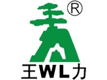 梅河口王力防盗门