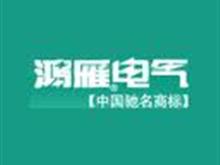 杭州鸿雁电器有限公司池州总代理