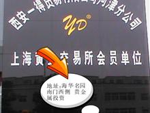 ����һ��ó�����޹�˾�ӽ�ֹ�˾