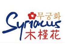 宽城木槿花韩式创意家居生活馆