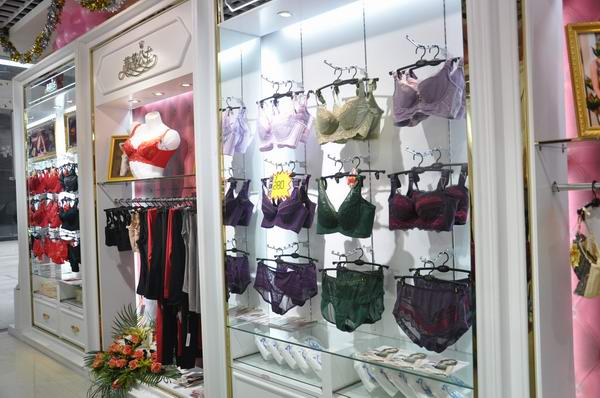 <em>茜茜公主</em>功能型内衣<em>专卖店</em>黄页画册