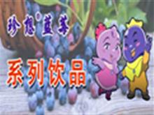 遂宁珍想蓝莓