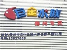 儋州巨金水族儋州专卖