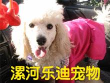 漯河乐迪宠物