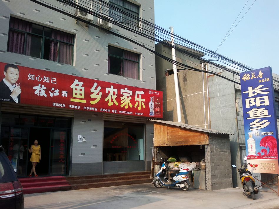 长阳鱼乡特色农家乐酒楼饭店清江鱼火锅城